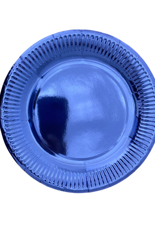 ASSIETTE A 9''' 10PCS 305-593 X 300