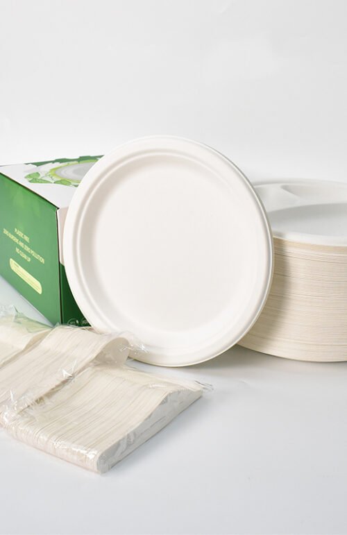 ASSIETTE PLASTIQUE 25PCS 2310-637 X 24