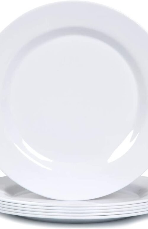 ASSIETTE PLASTIQUE 10 PARPP10D 25PCS X 20PQTS