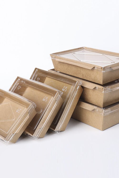 BOITE (BARQUETTE) SAFCO ECO OPSALAD 500 NOIRE X 300PCS